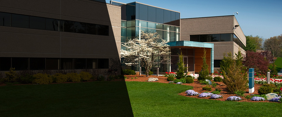 Blackwood Landscapers