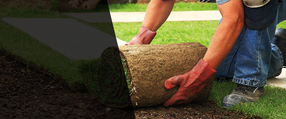 Blackwood Landscapers